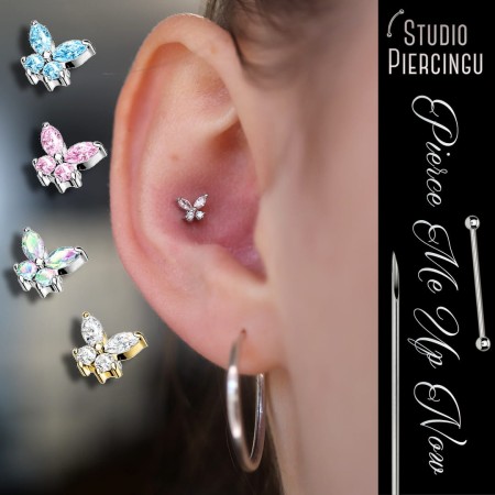 conch butterfly.jpg