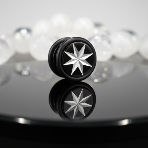 Przejdź do produktu Czarny fake plug silver Star