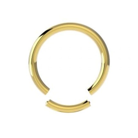 img/70C9-SGG/zloty-segment-ring-clicker.jpg