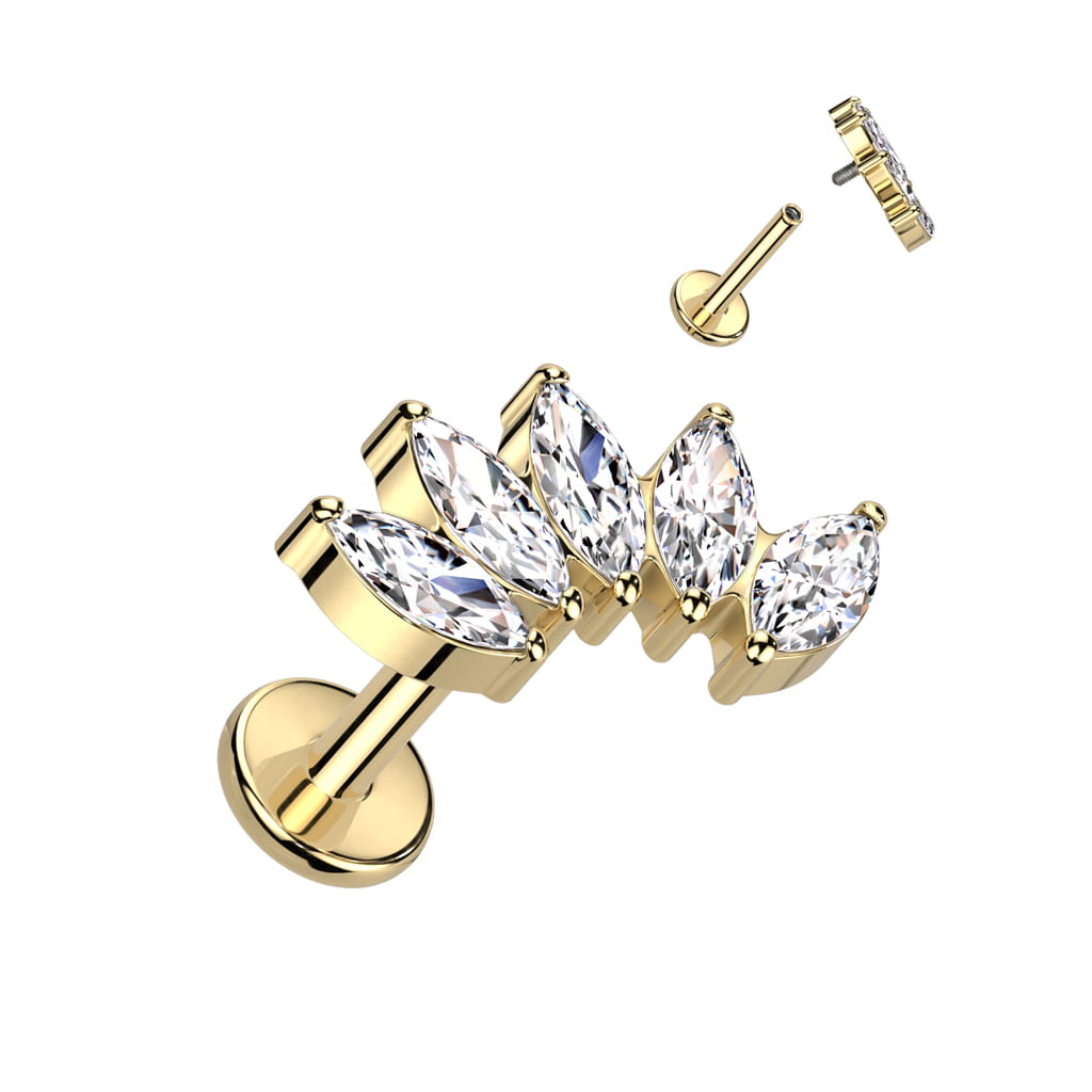 Tytanowy labret w kształcie złotego wachlarza z pięcioma markizami z cyrkoniami. Hipoalergiczny, trwały, z powłoką PVD. Idealny do helixa, tragusa, lobe i flat. Subtelny blask i elegancki design w jednym.